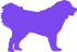 XL size dogs