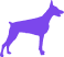 XL size dogs