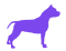 XL size dogs