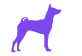 XL size dogs