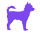XL size dogs