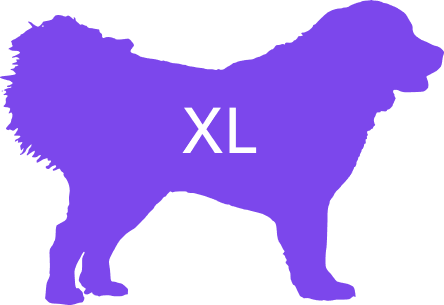 XL