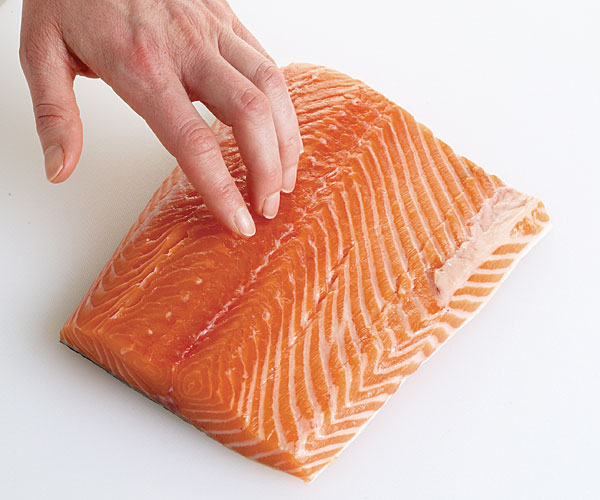 Salmon
